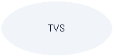TVS